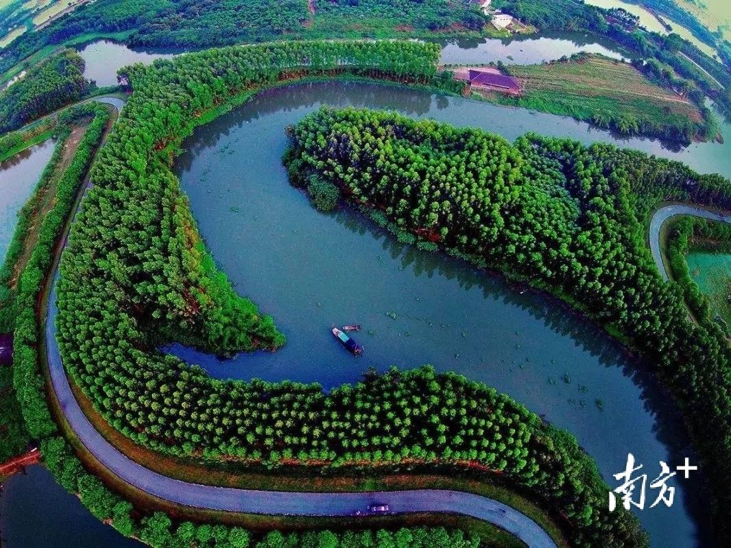 又一文旅标杆!中旅·阿那亚九龙湖生态度假区项目在花都动工