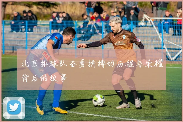 北京排球队奋勇拼搏的历程与荣耀背后的故事